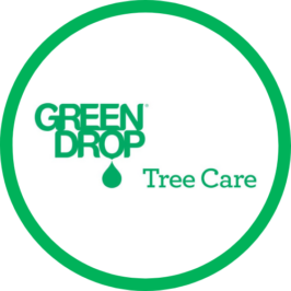 Green Drop Tree Care logo client of BizBOXTV video marketing and digital advertising services